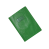 copie de Protège-cahier en PVC DIAMANT 17x22cm Vert Clair